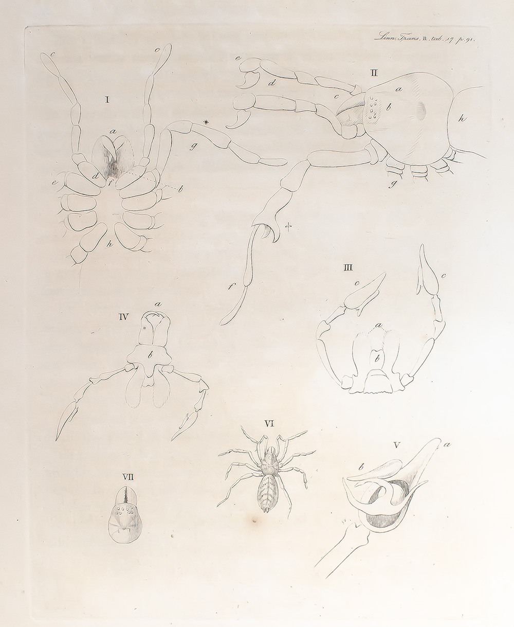 The Transactions of the Linnean Society of London. Vol. I-X.
