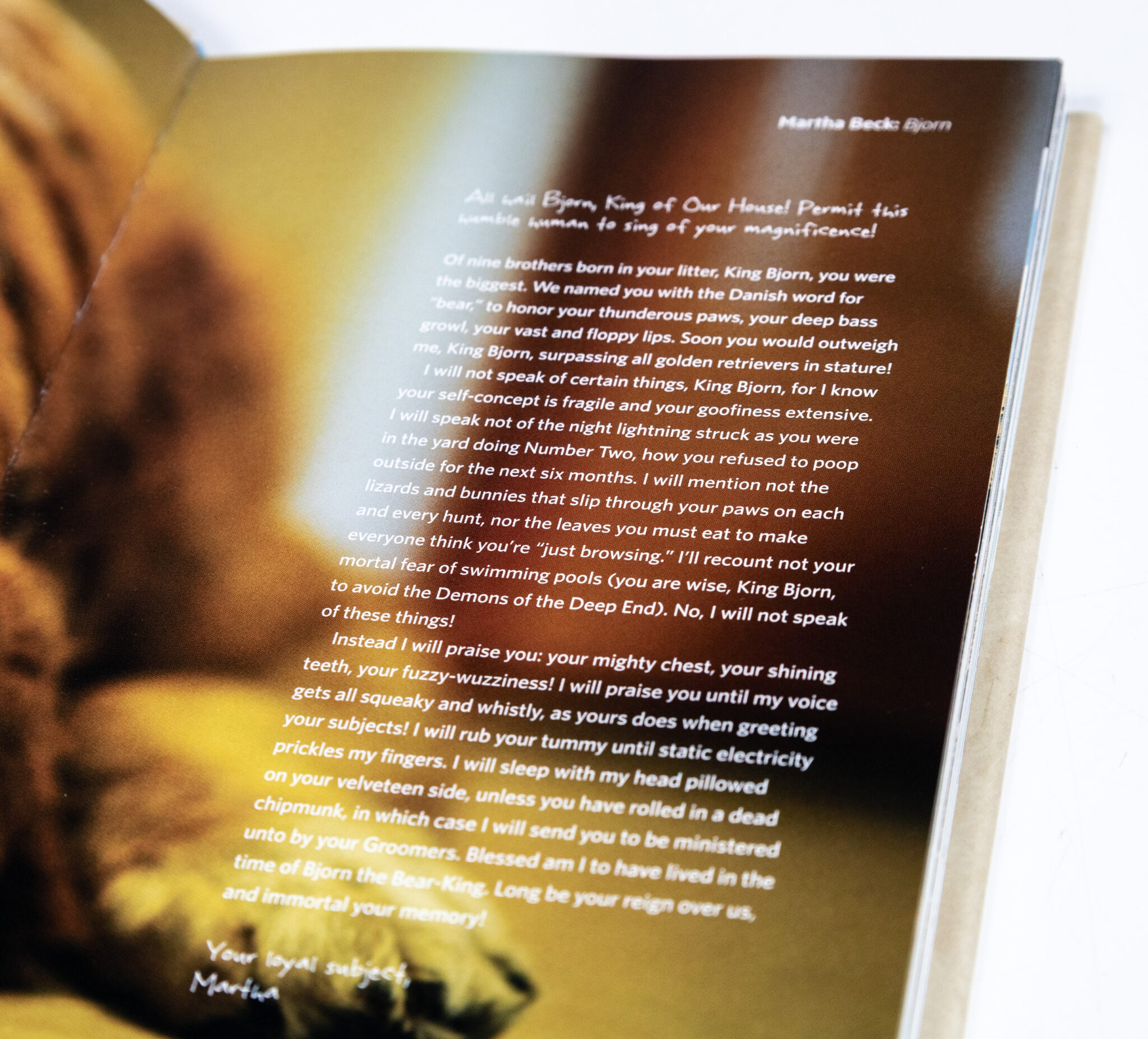 A Letter to My Dog: Notes to Our Best Friends.
