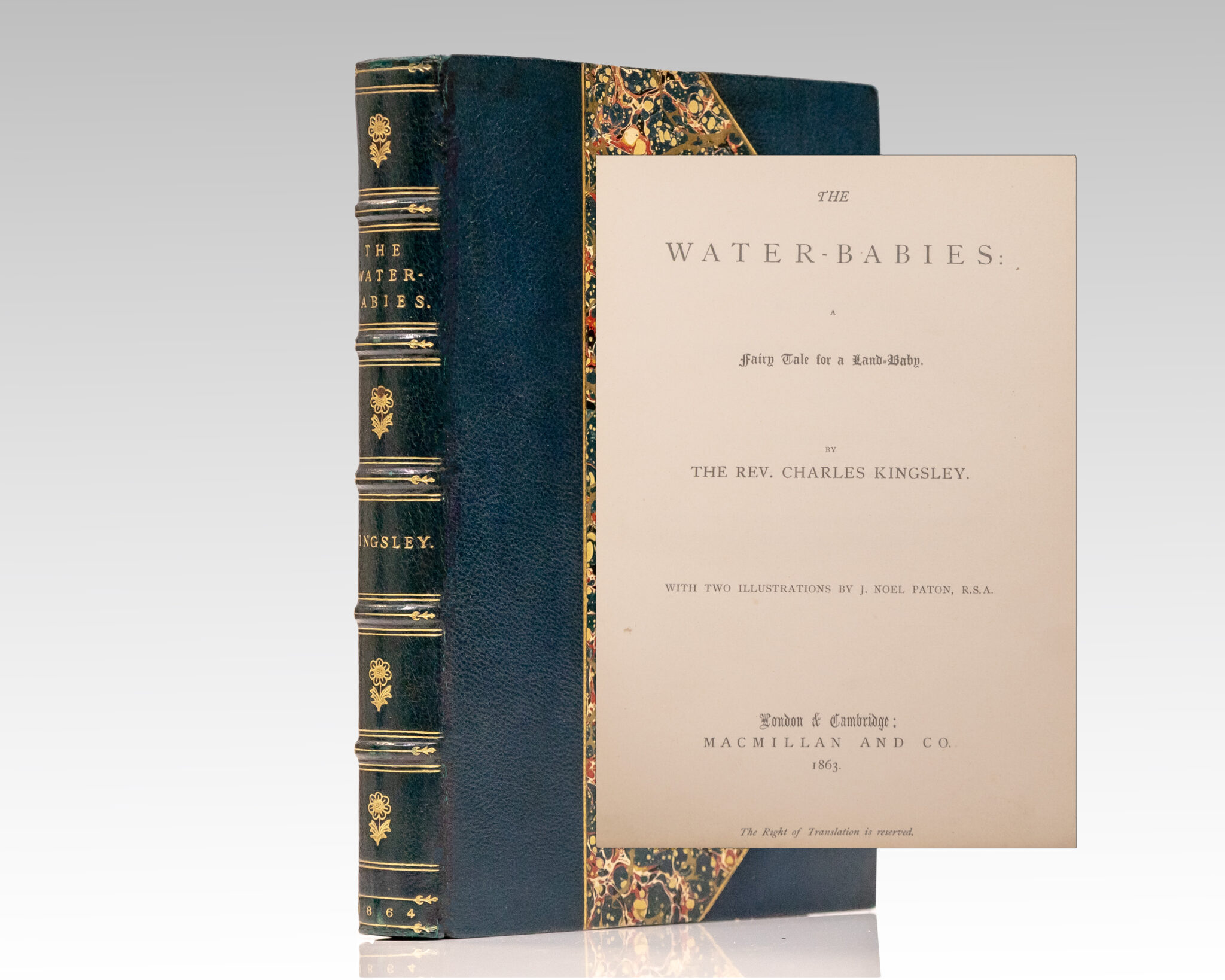 The Water-Babies: A Fairy Tale for a Land-Baby.