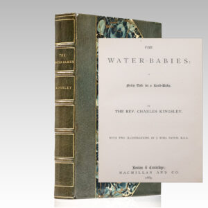 The Water-Babies: A Fairy Tale for a Land-Baby.