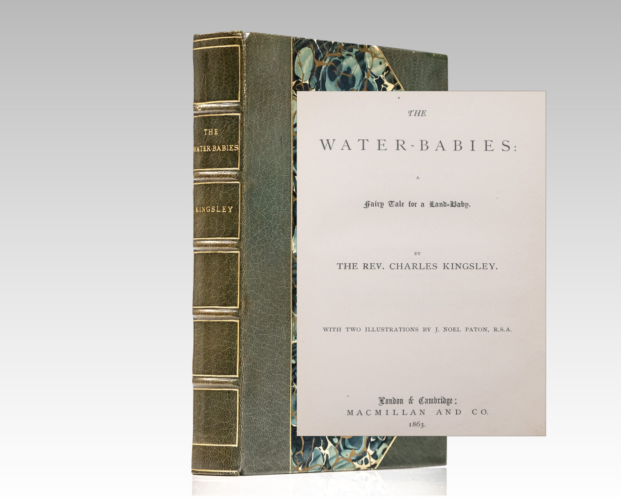 The Water-Babies: A Fairy Tale for a Land-Baby.