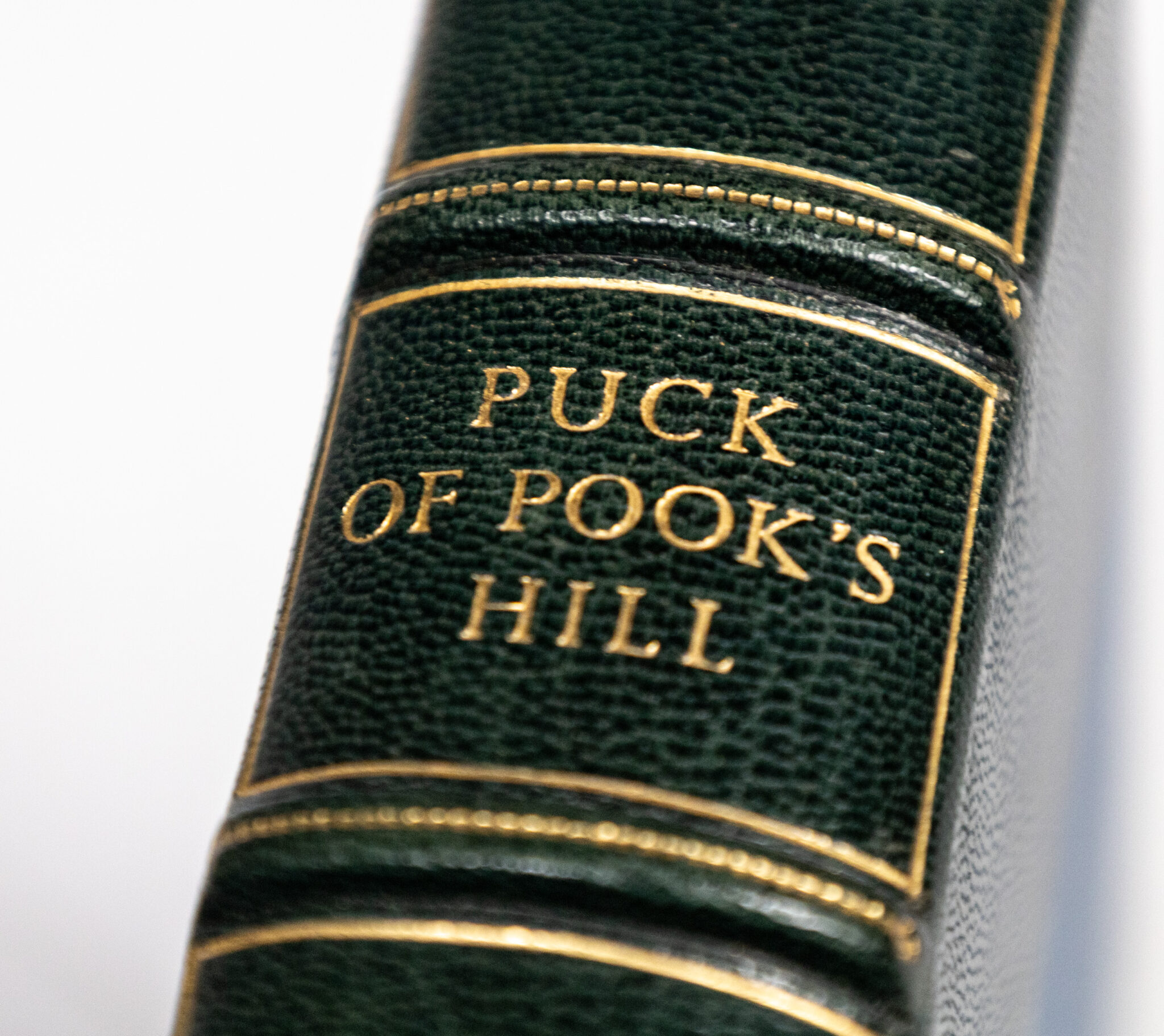 Puck of Pook's Hill.