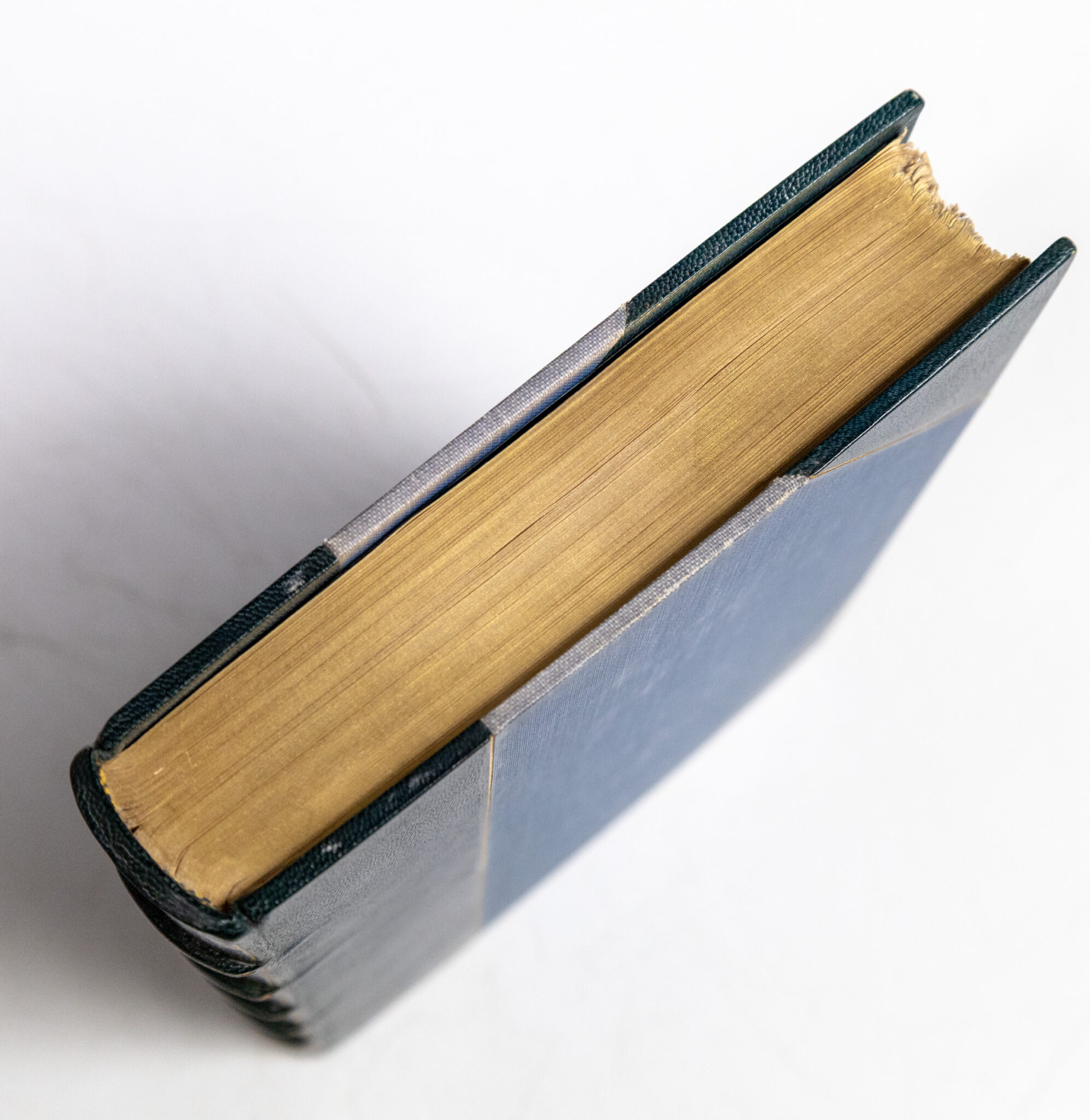 Puck of Pook's Hill.