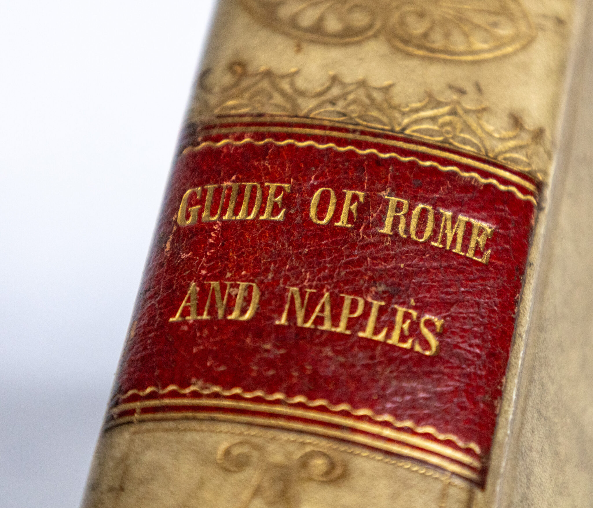 New Guide of Rome, Naples and Their Environs.