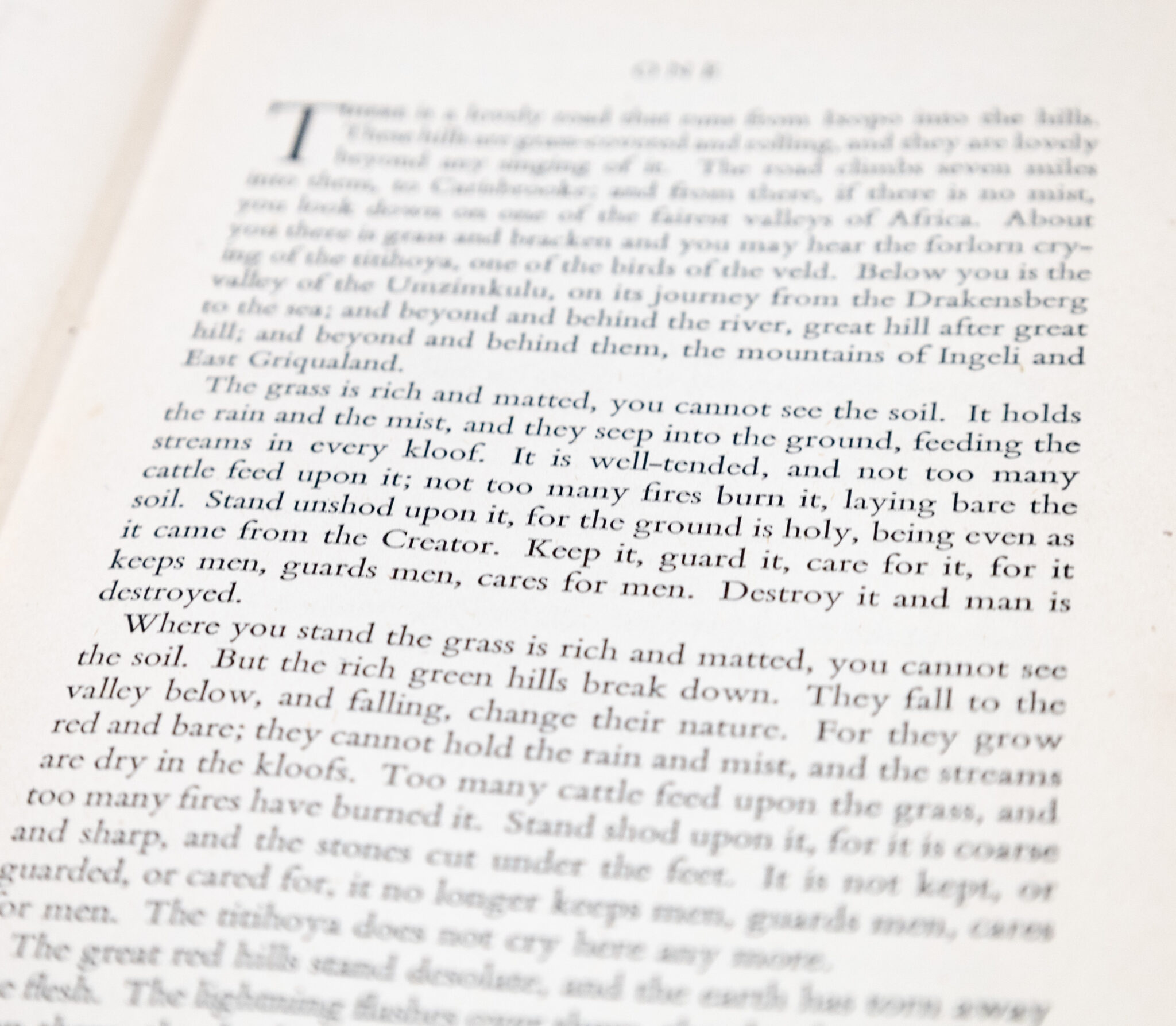 Cry, the Beloved Country: A Story of Comfort in Desolation.