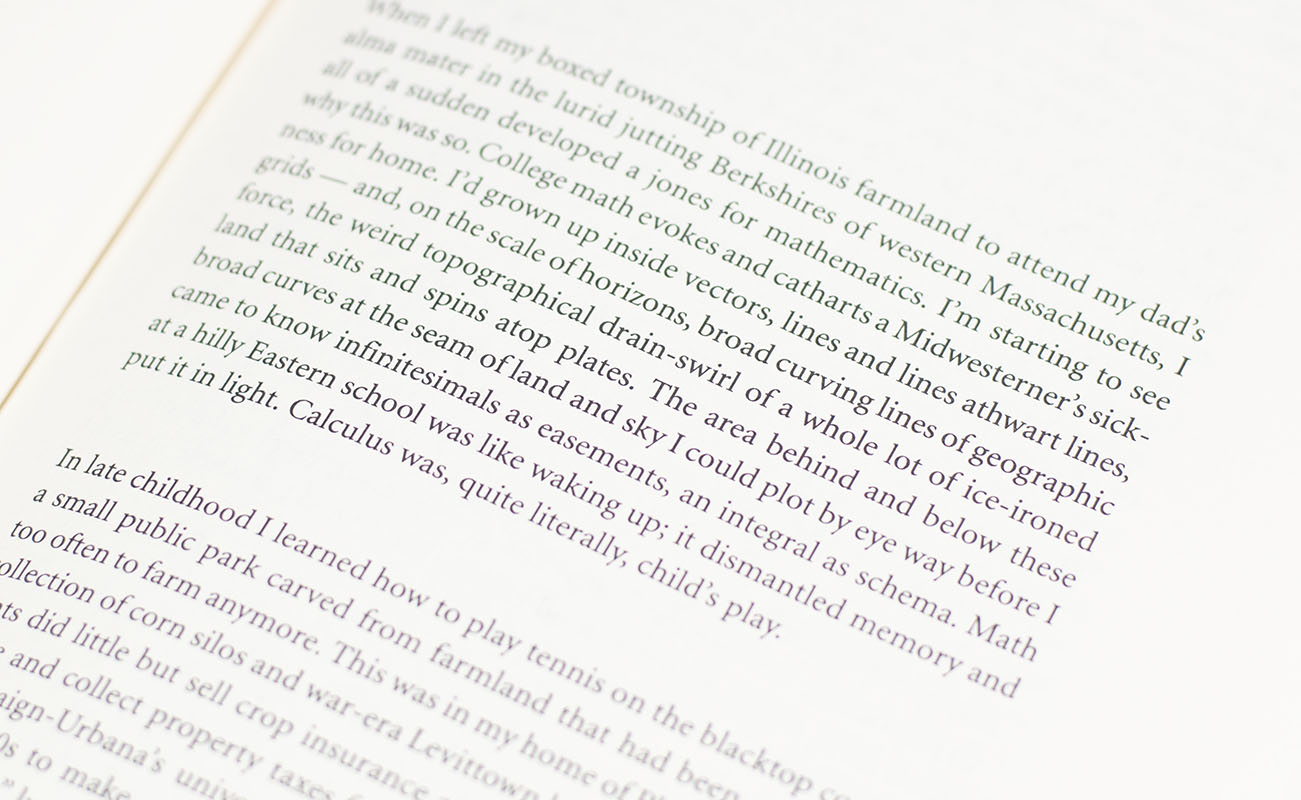 A Supposedly Fun Thing I'll Never Do Again: Essays and Arguments.