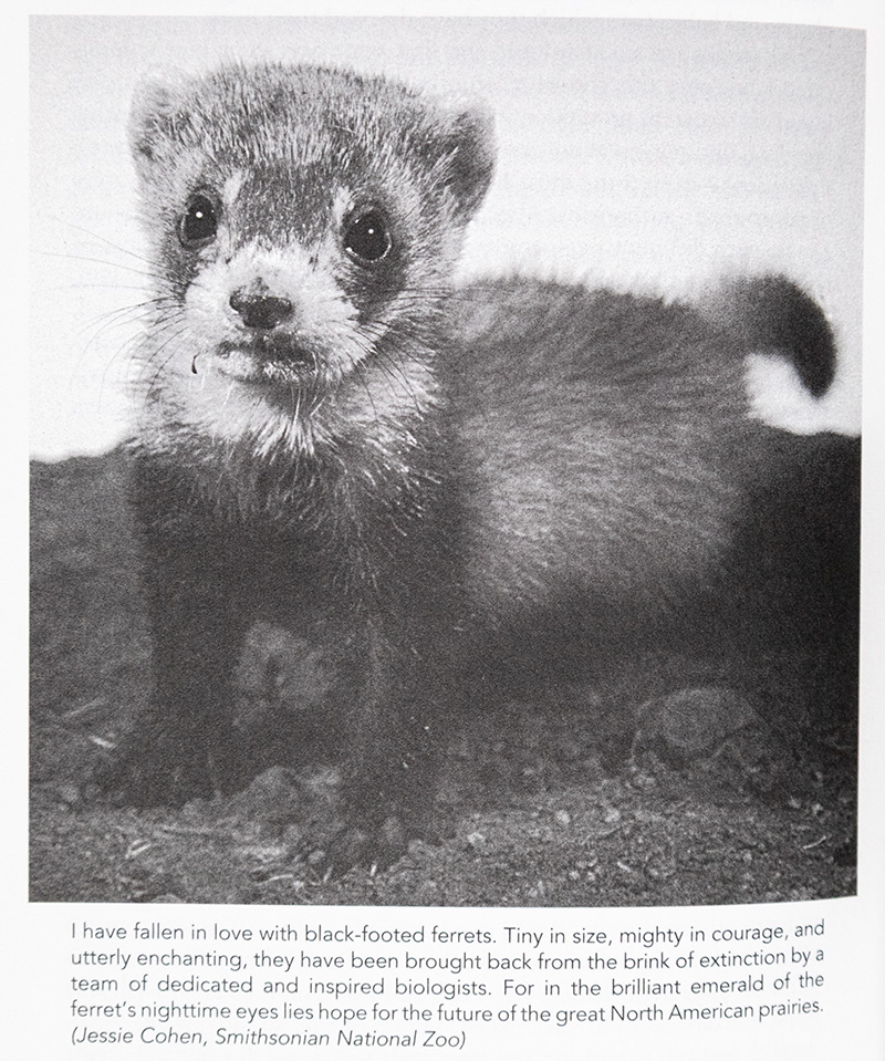 Hope For Animals and Their World: How Endangered Species Are Being Rescued from the Brink.