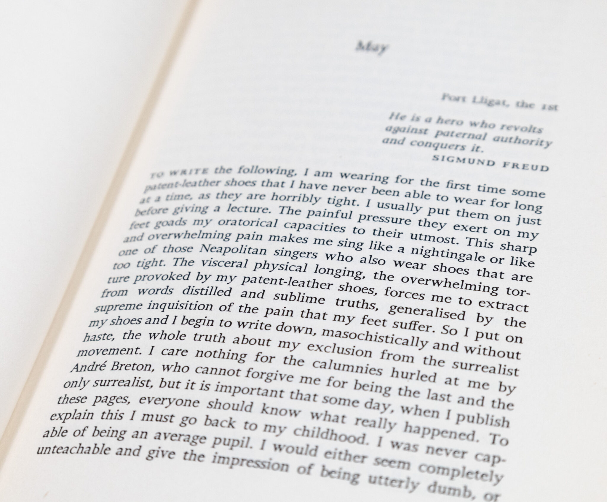 Diary of a Genius.