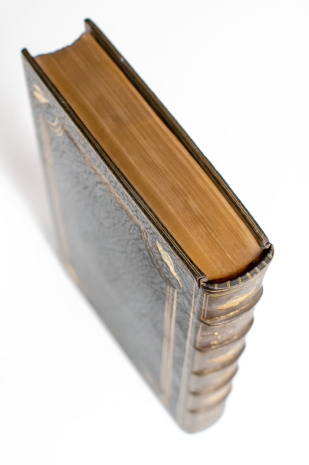 The Complete Angler of Izaak Walton and Charles Cotton: Extensively Embellished with Engravings on Copper and Wood, From Original Paintings and Drawings, by First-Rate Artists.