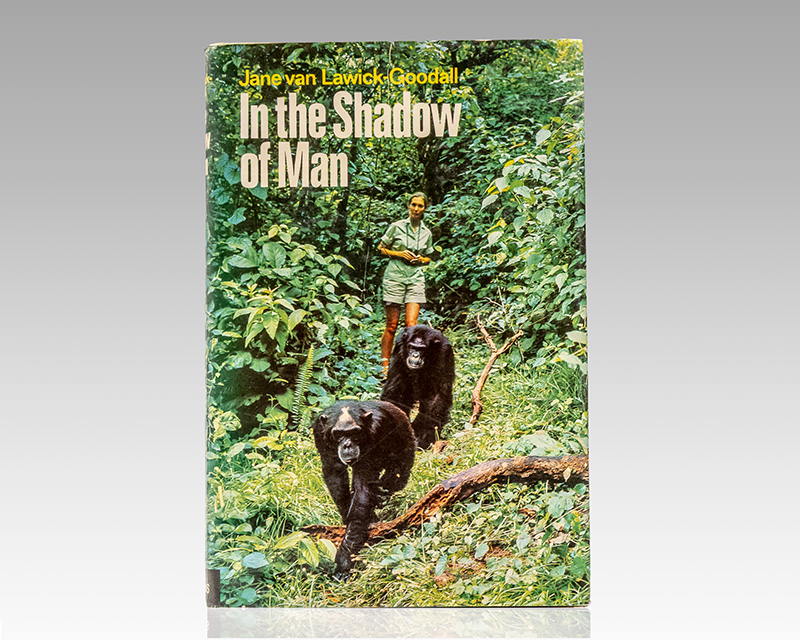 In the Shadow of Man.