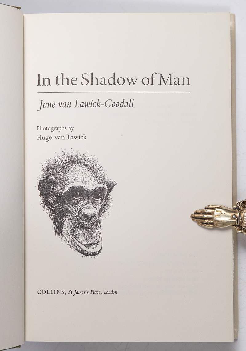In the Shadow of Man.