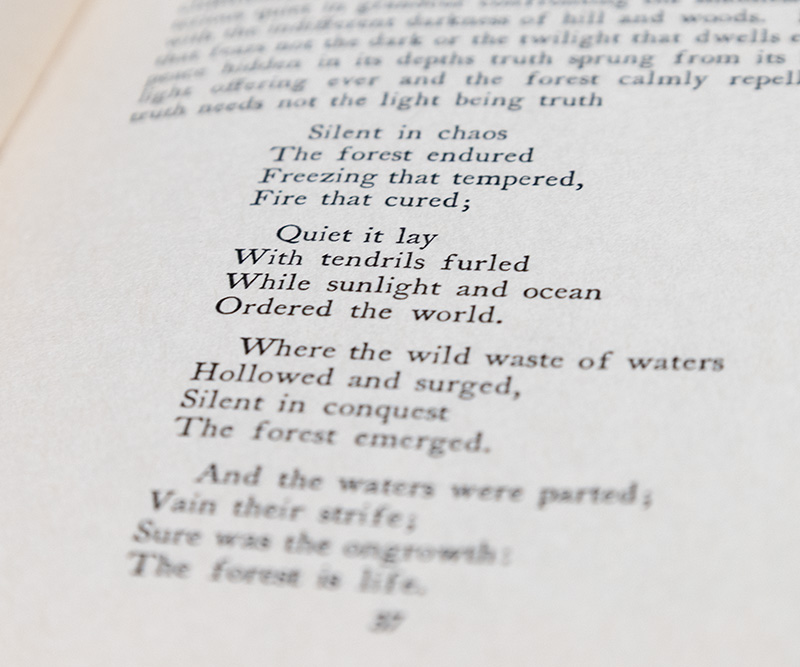 King John.
