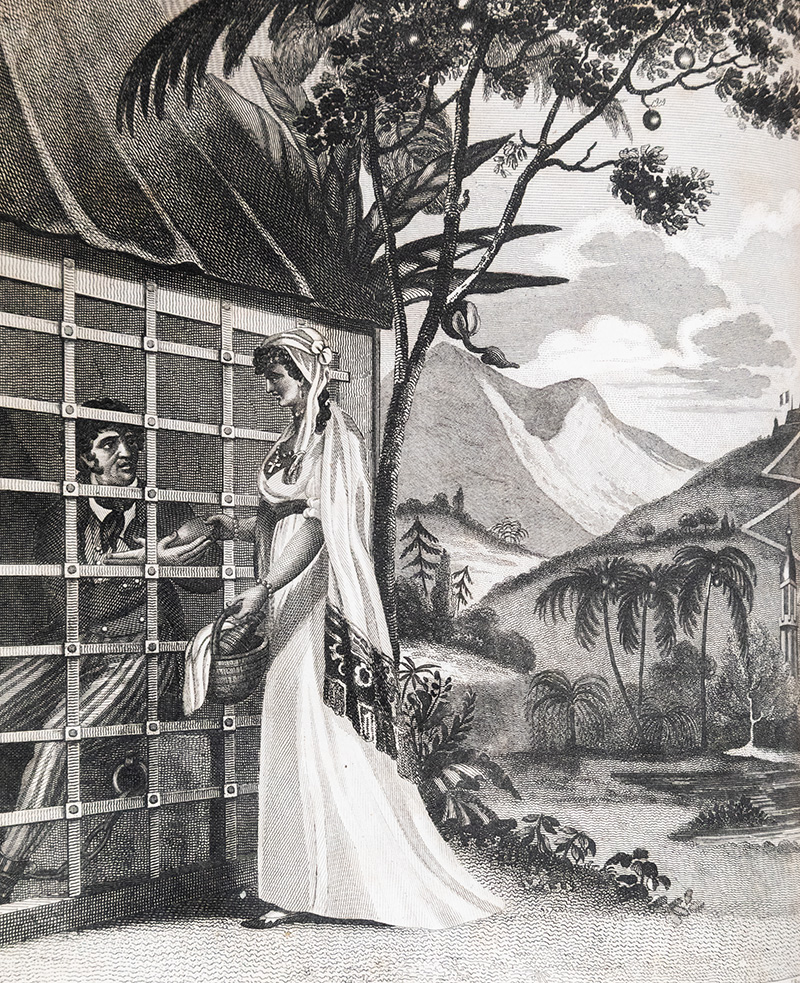 An Historical Account of the Black Empire of Hayti: Comprehending a View of The Principal Transactions in the Revolution of Saint Domingo; With Its Antient and Modern State.