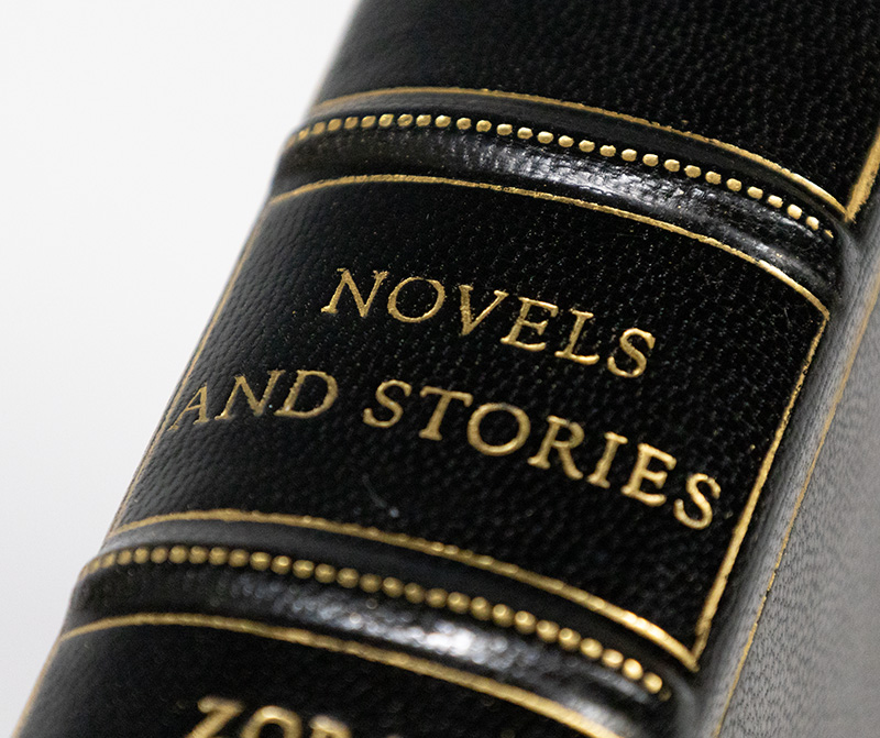 Novels and Stories: Jonah's Gourd Vine, Their Eyes Were Watching God, Moses Man of the Mountain, Seraph on the Suwanee, and Selected Stories.