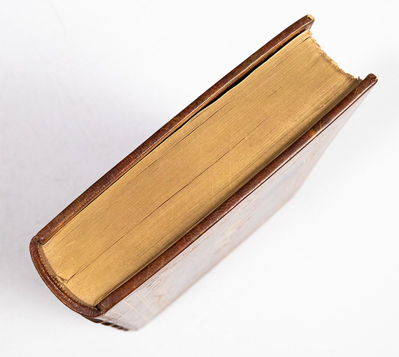 The Complete Works of Count Tolstoy.