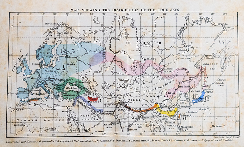 Island Life: or the Phenomena and Causes of Insular Faunas and Floras Including a Revision and Attempted Solution of the Problem of Geological Climates.