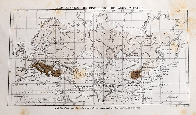 Island Life: or the Phenomena and Causes of Insular Faunas and Floras Including a Revision and Attempted Solution of the Problem of Geological Climates.