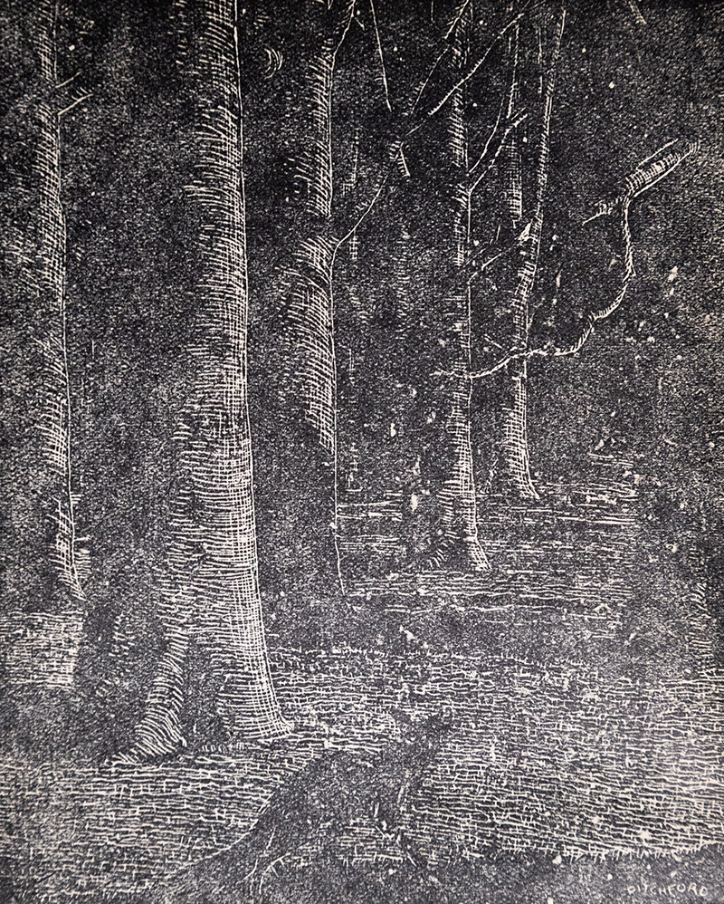 Wild Lone: The Story of a Pytchley Fox.