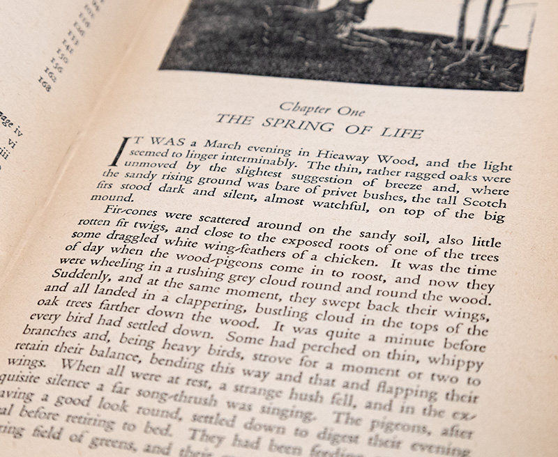 Wild Lone: The Story of a Pytchley Fox.