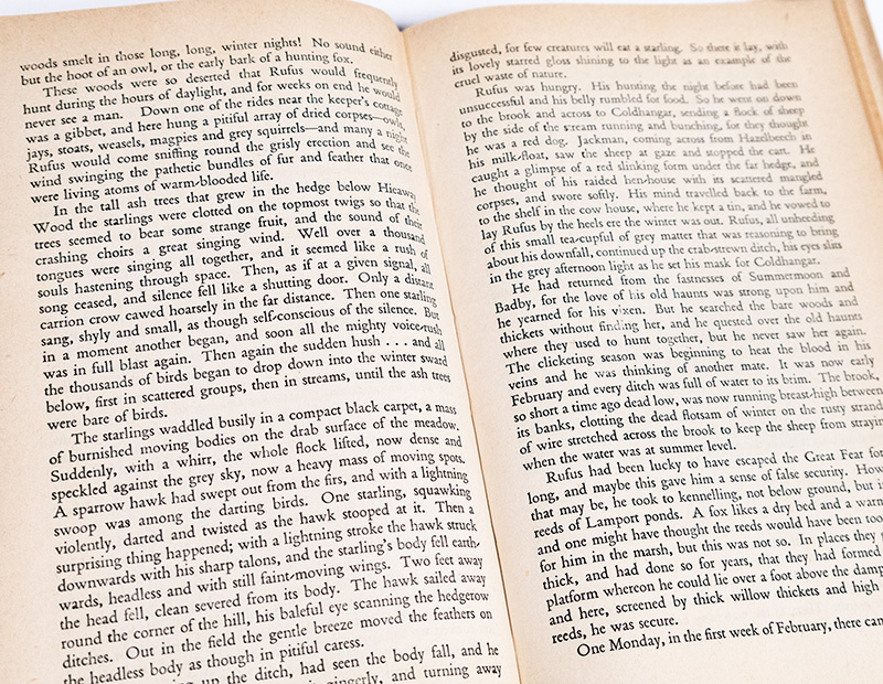 Wild Lone: The Story of a Pytchley Fox.