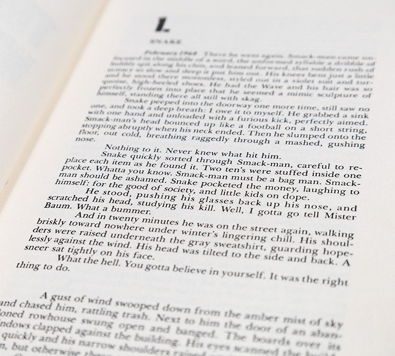 Fields of Fire: A Novel.