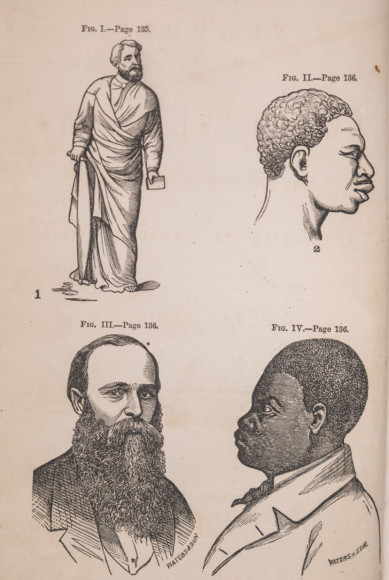Negroes and Negro "Slavery:" The First an Inferior Race: The Latter its Normal Condition.