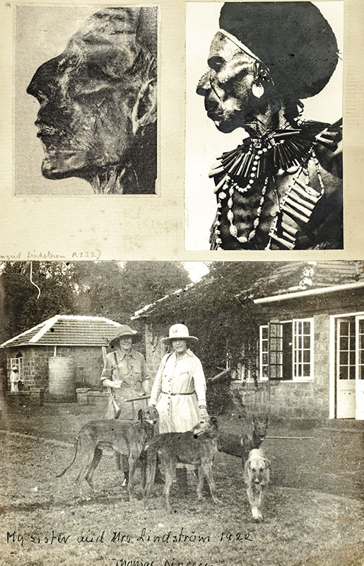 Out of Africa.
