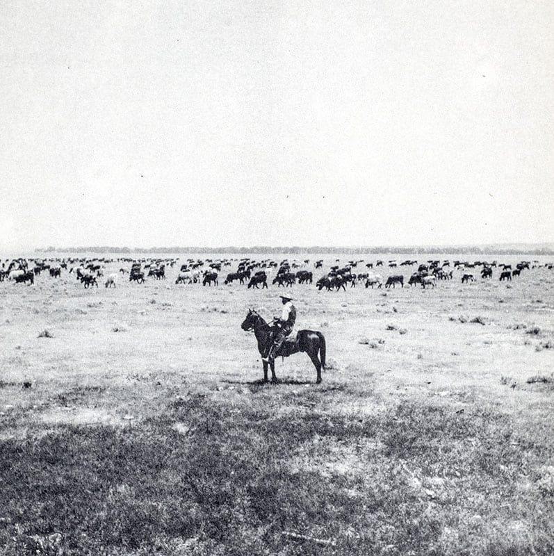 Big Loop and Little: The Cowboy's Story